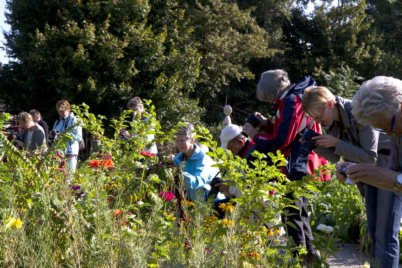 Hortus Alkmaar