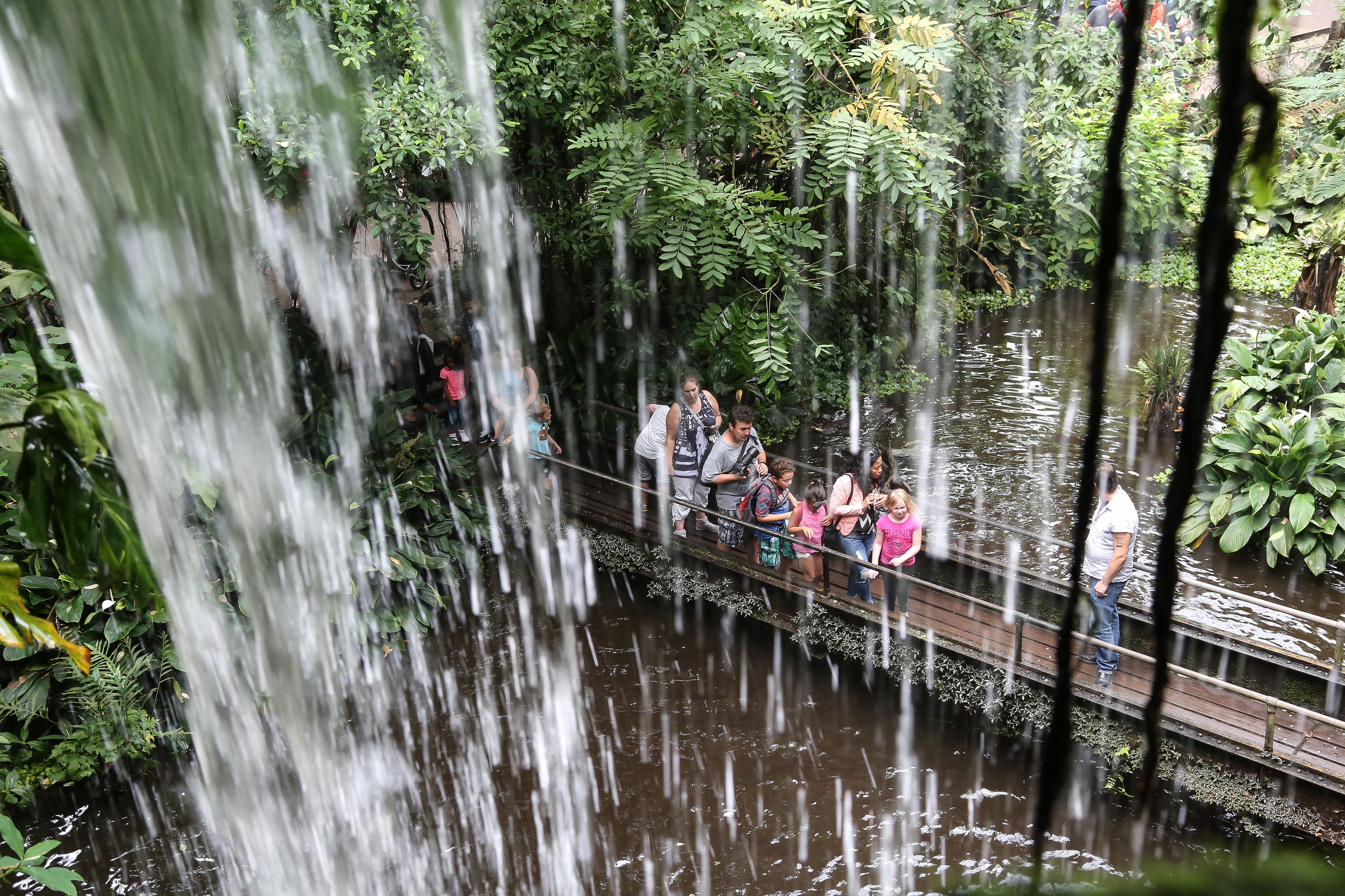 Tuin in Burgers Zoo