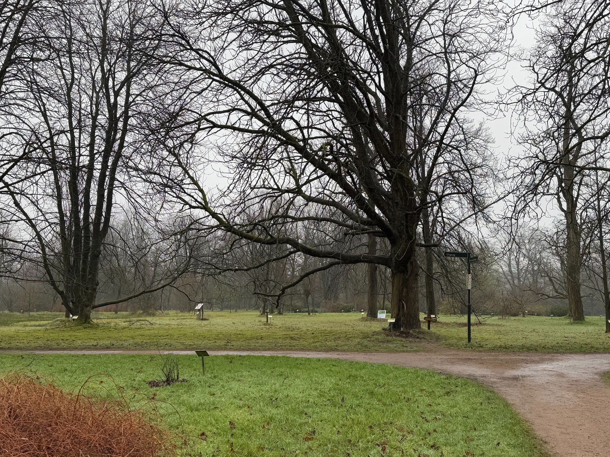 Arboretum Poort Bulten