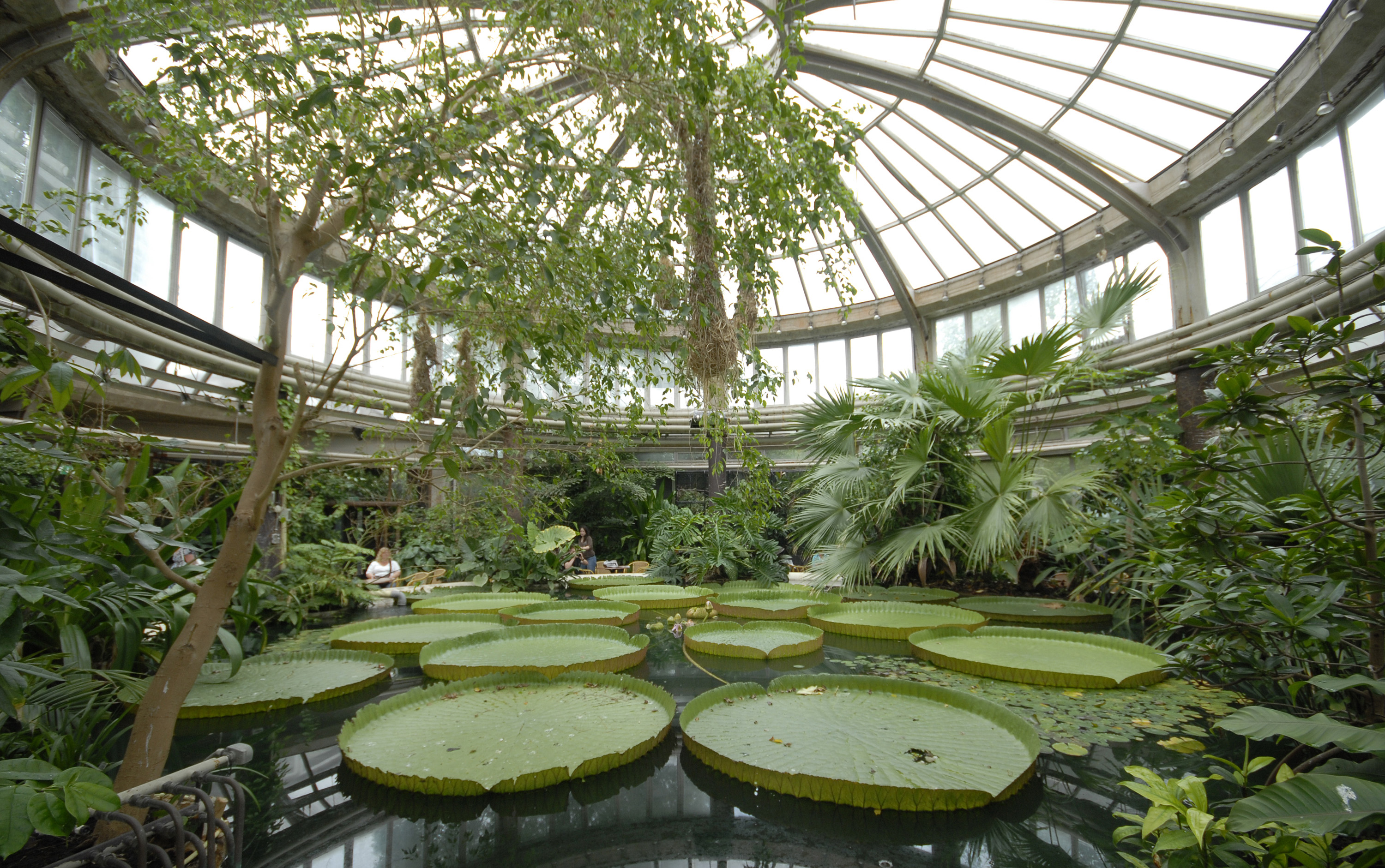 Diergaarde Blijdorp Chinese Tuin